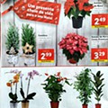 01 Lidl 7 a 13 dezembro_44.jpg